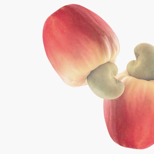 Cashew Supply Chain in Africa