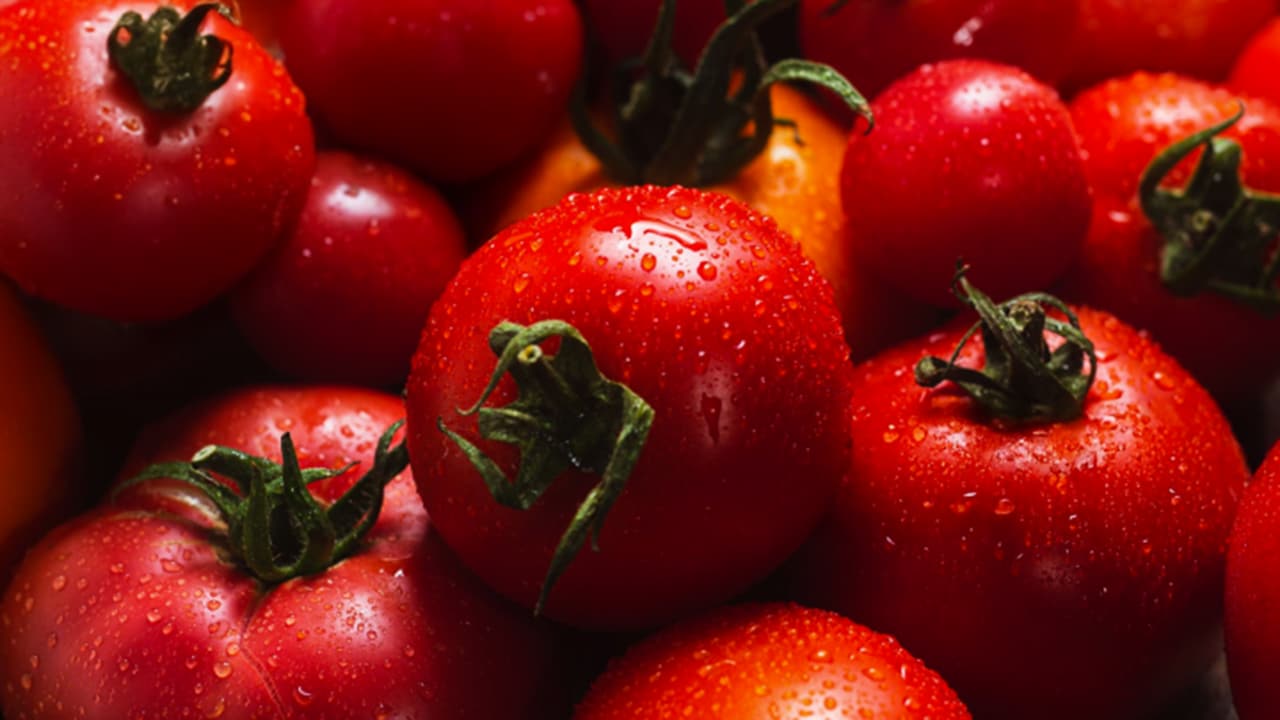 fruits and vegetables