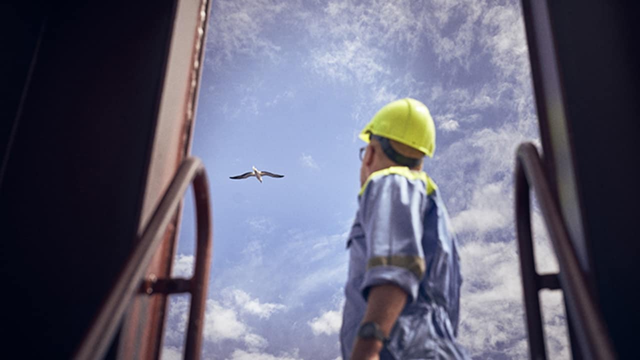 The employee gazes at the bird.