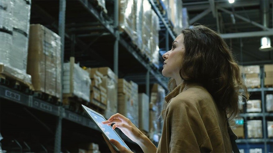 Woman overlooking warehouse logistics