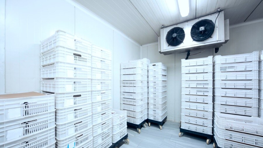 Inside of a cold storage