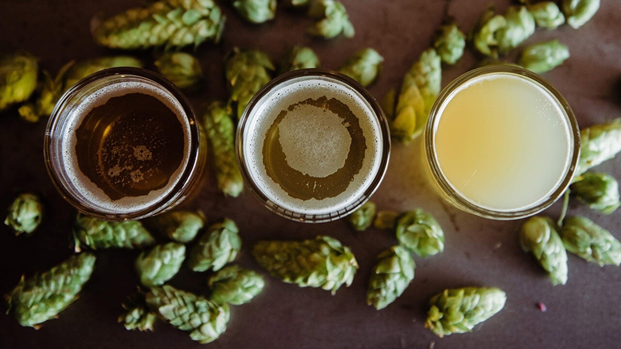 A production line of beer