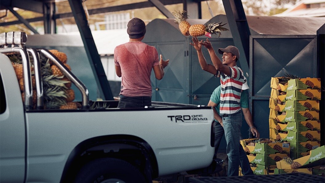 Importers of fruit and vegetables