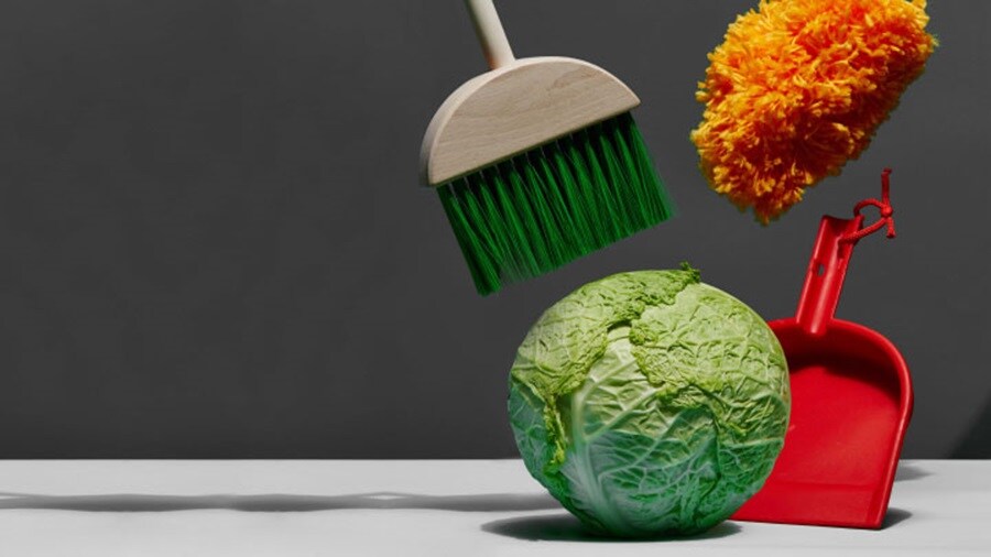 Lettuce and garbage tools