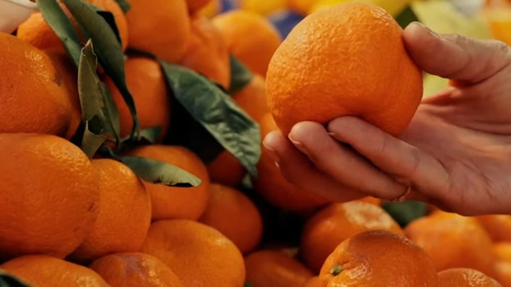 Cold chain transport - Close-up of oranges — a perishable fruit.