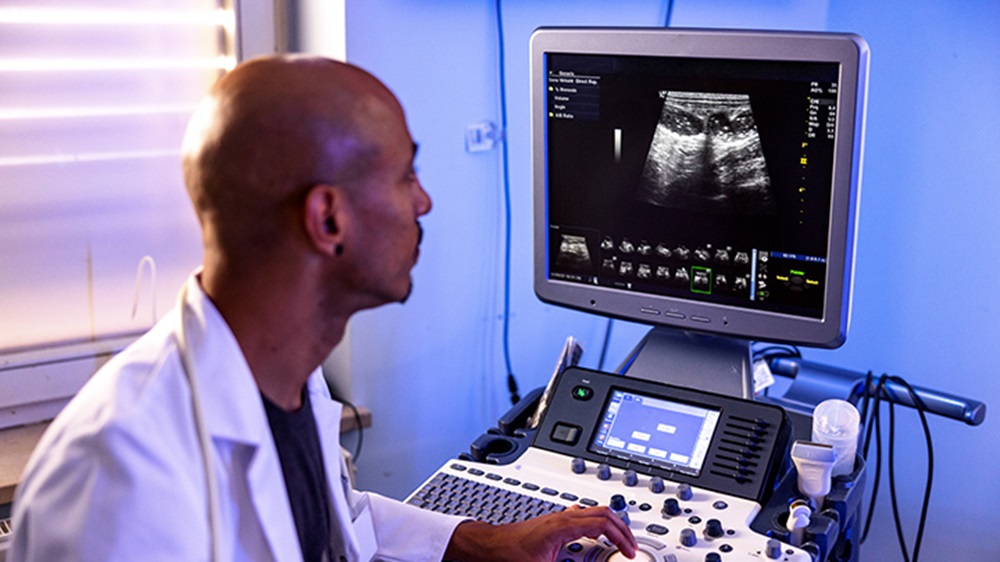 Portrait of a Hispanic male veterinarian using a sonogram