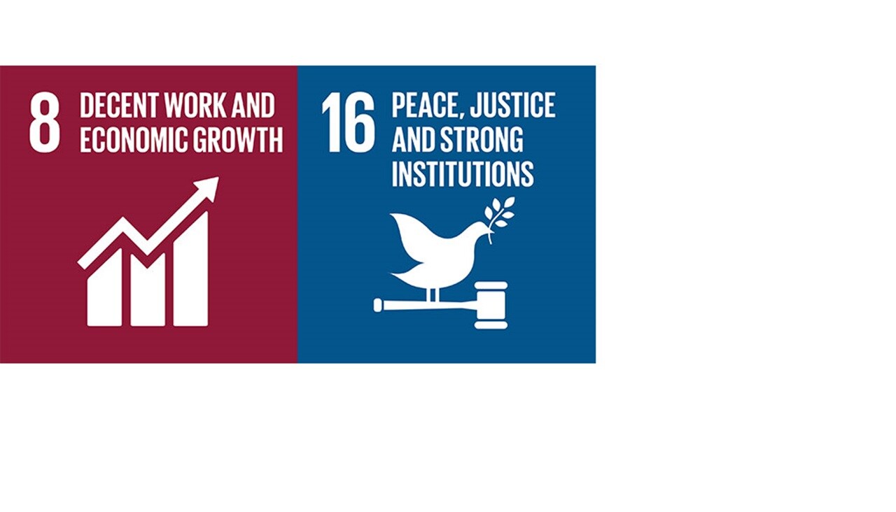Human Rights goals