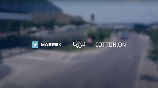 Expert at cotton