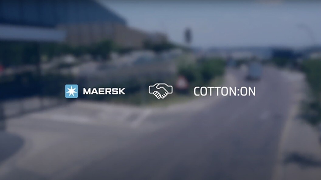 Expert at cotton