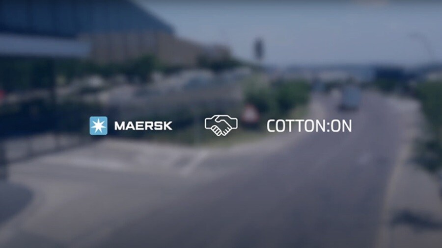Experts at cotton
