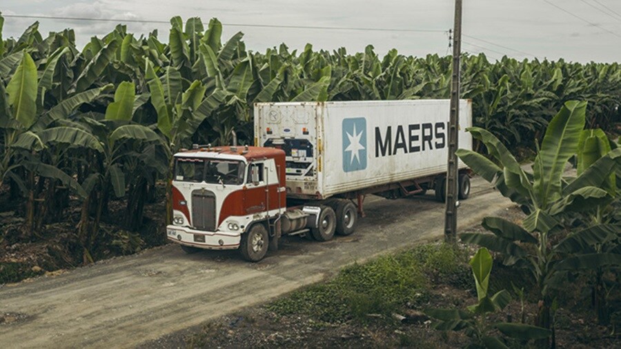 Integrating cold storage solutions into the supply chain journey