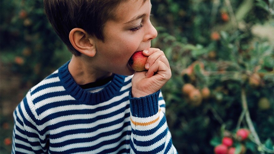 Boy eating an apple