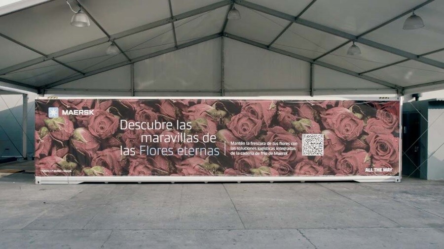 Keeping Flowers Fresh ALL THE WAY