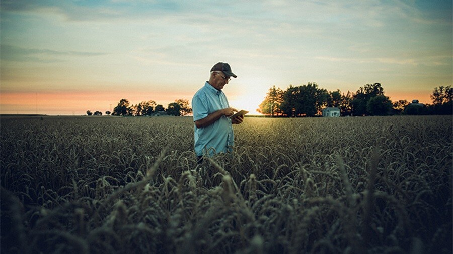 Man standing in a green field