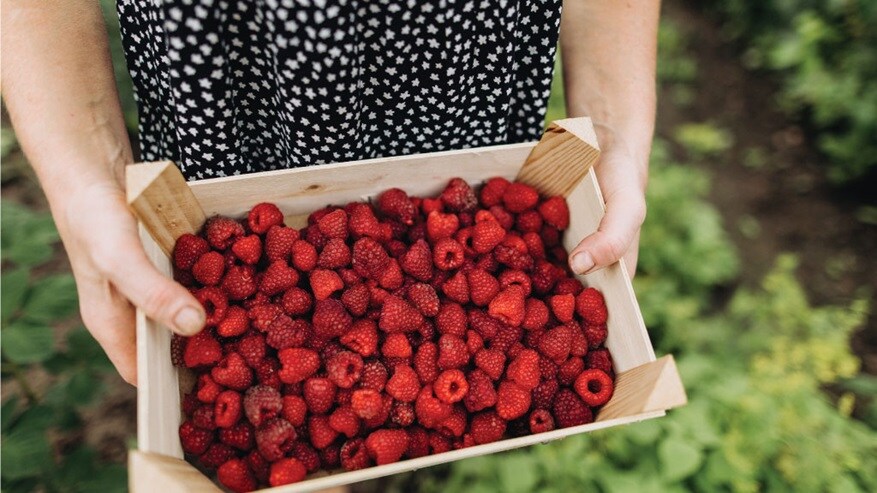 Farm-fresh deliveries all the way