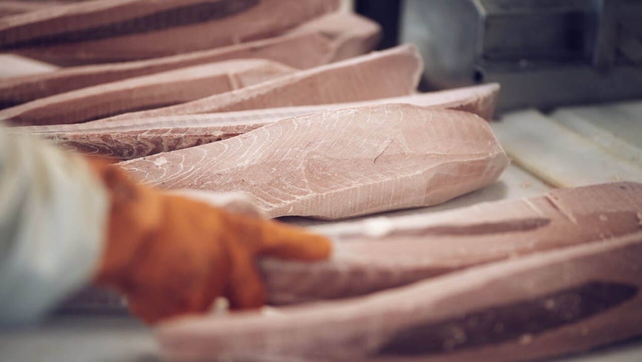 tuna journey