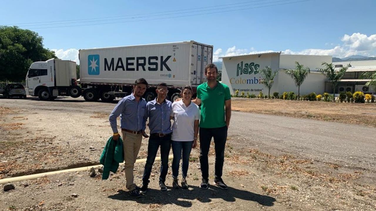 Avocados travel by train with Maersk