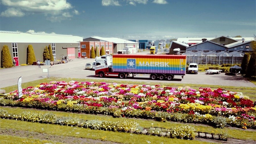 Maersk rainbow container in the Netherlands.