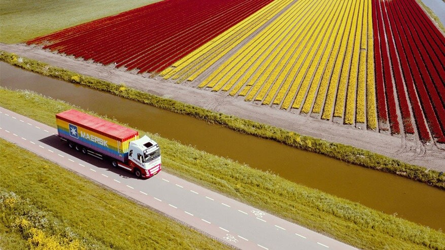 Maersk rainbow container in the Netherlands.