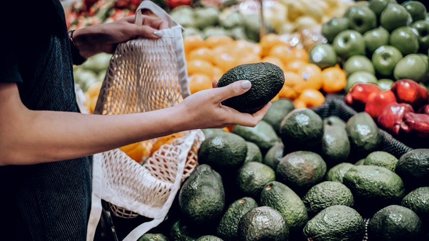 Avocadoes Africa