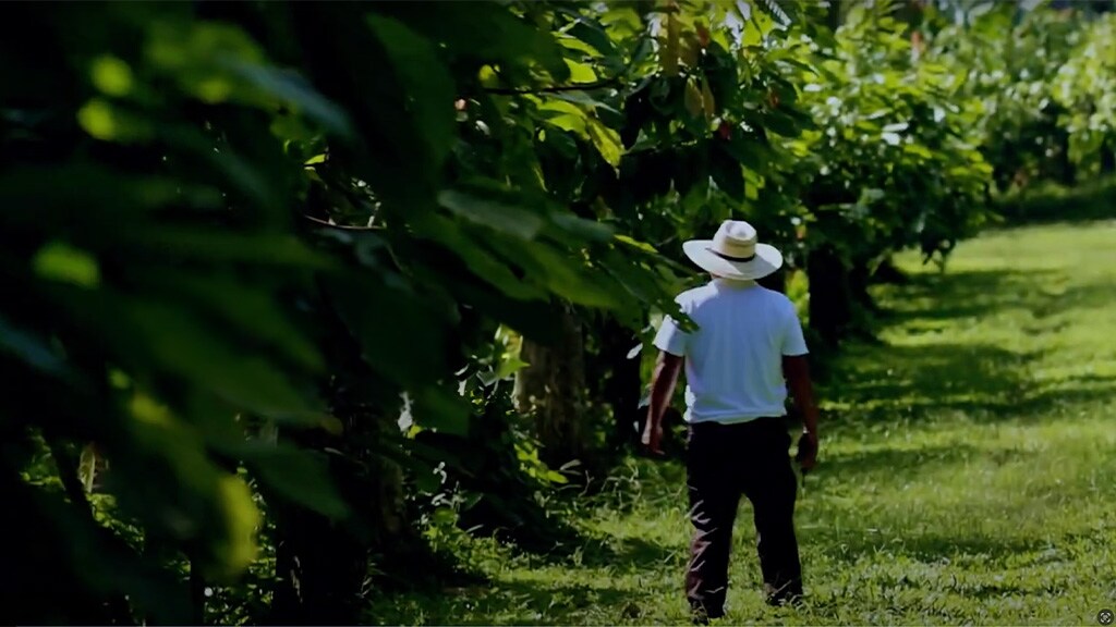 caa-international-cocoa-conference-exhibition-2024