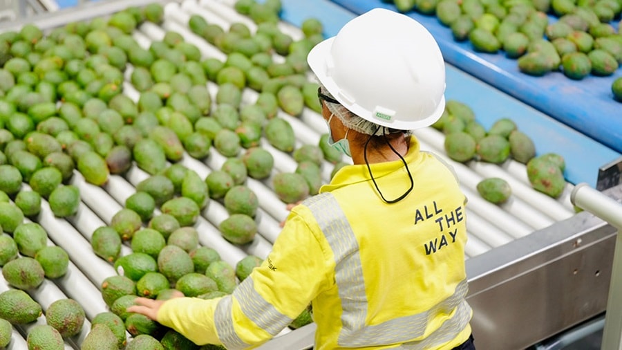 Olmos Packing and Cold Chain Logistics Facility