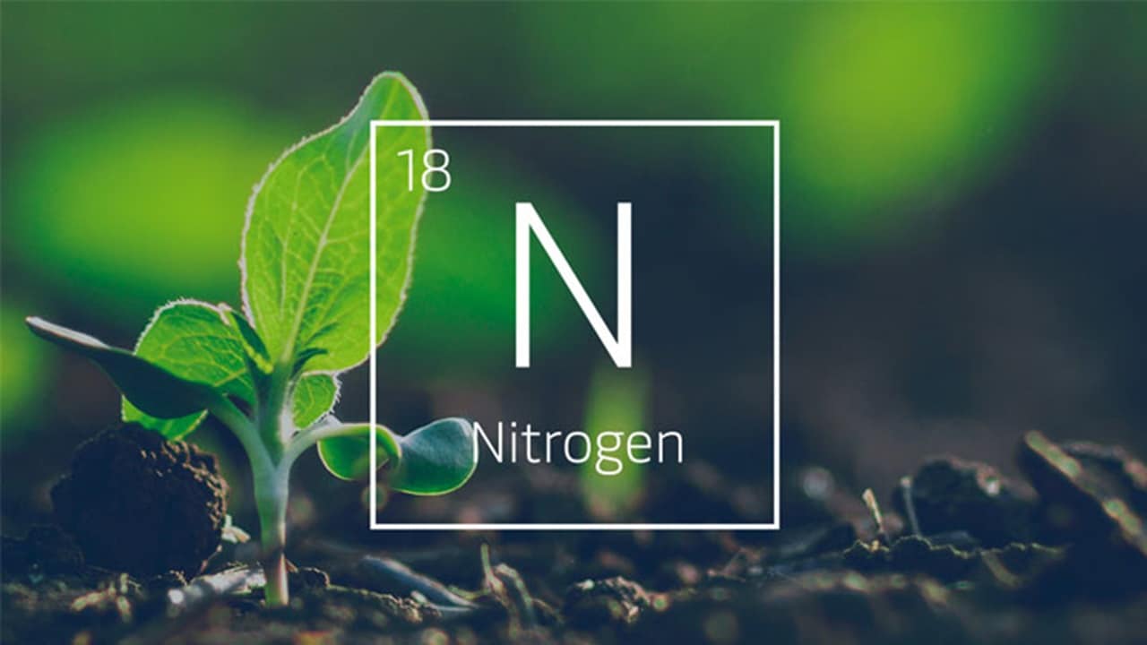 农药——绿色农田和氮磷钾复合肥比例。