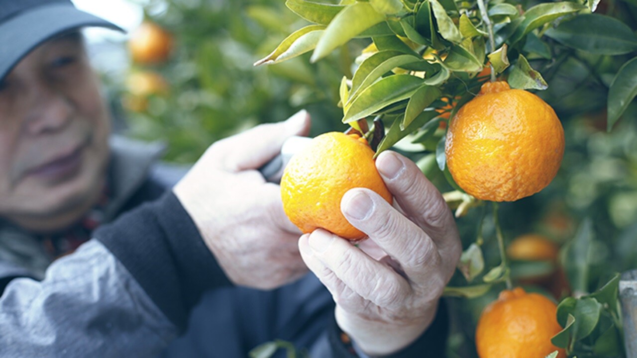 综合解决方案可以提高您的绩效