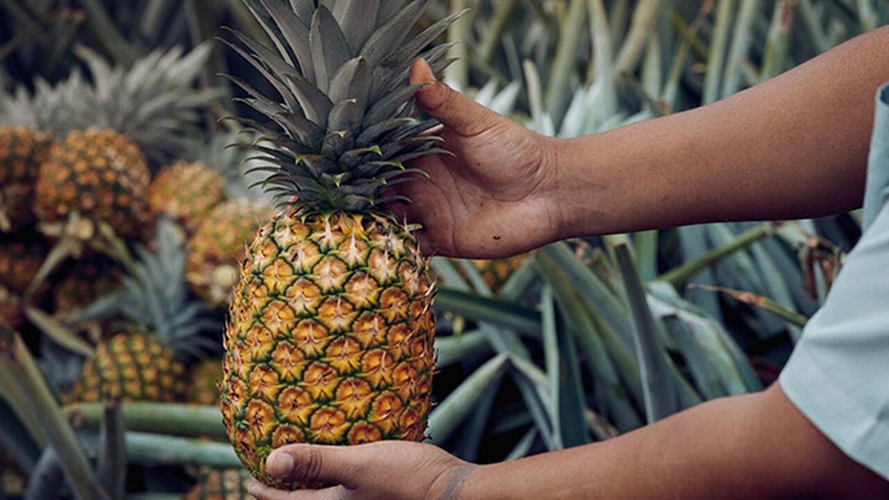 Pineapples